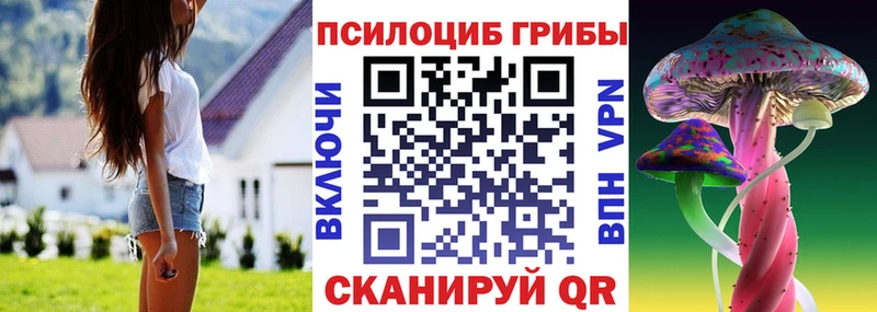 Галлюциногенные грибы Psilocybe  MEGA ссылки  Сычёвка 